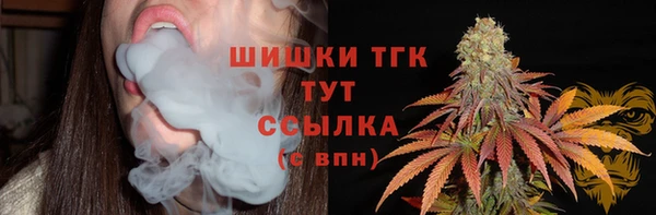 сатива Балахна