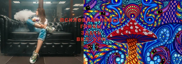 дмт Семилуки