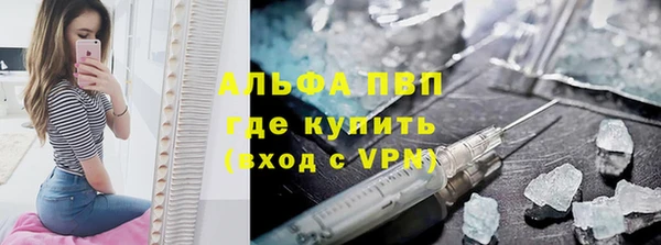 сатива Балахна