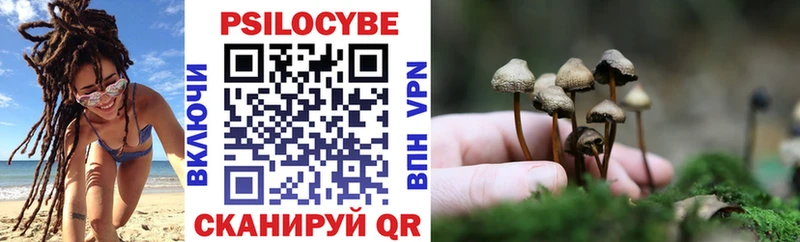 hydra сайт  закладки  площадка наркотические препараты  Псилоцибиновые грибы Magic Shrooms  Ленинск-Кузнецкий 